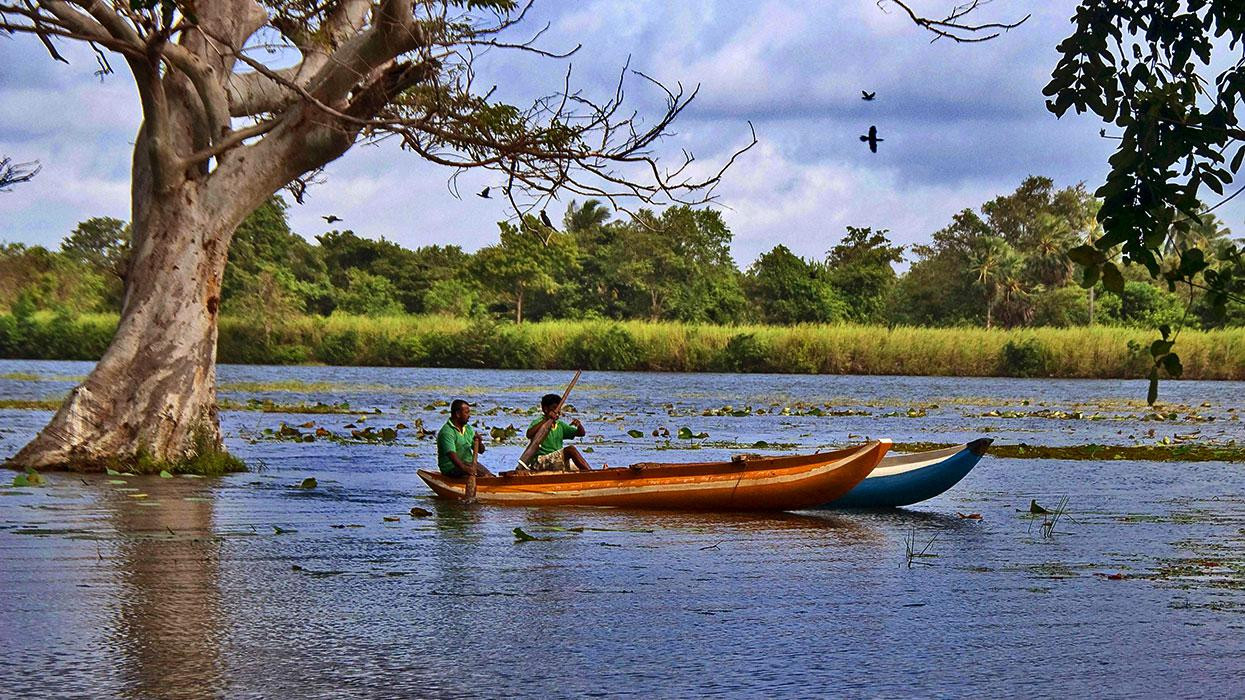 Habarana